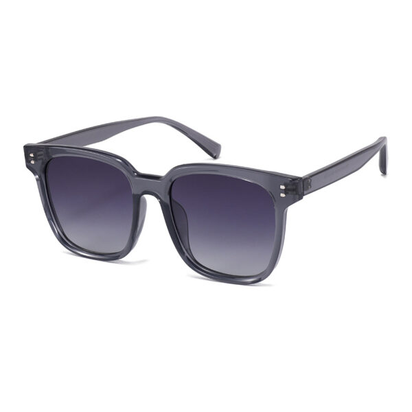 Bulk Wholesale TR90 Sunglasses Supplier - LY2145 - Image 2