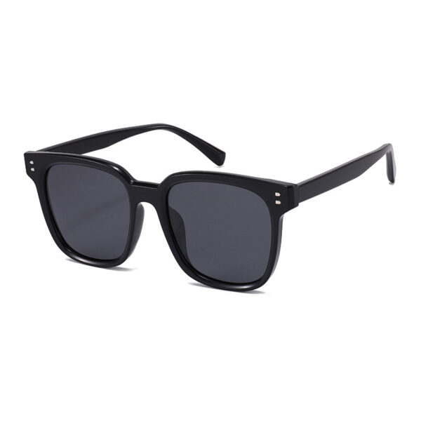 Bulk Wholesale TR90 Sunglasses Supplier - LY2145 - Image 4