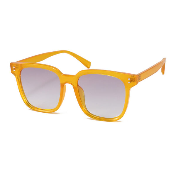 Bulk Wholesale TR90 Sunglasses Supplier - LY2145 - Image 5