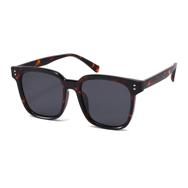 Bulk Wholesale TR90 Sunglasses Supplier - LY2145 - Image 6