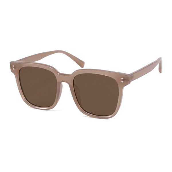 Bulk Wholesale TR90 Sunglasses Supplier - LY2145 - Image 7