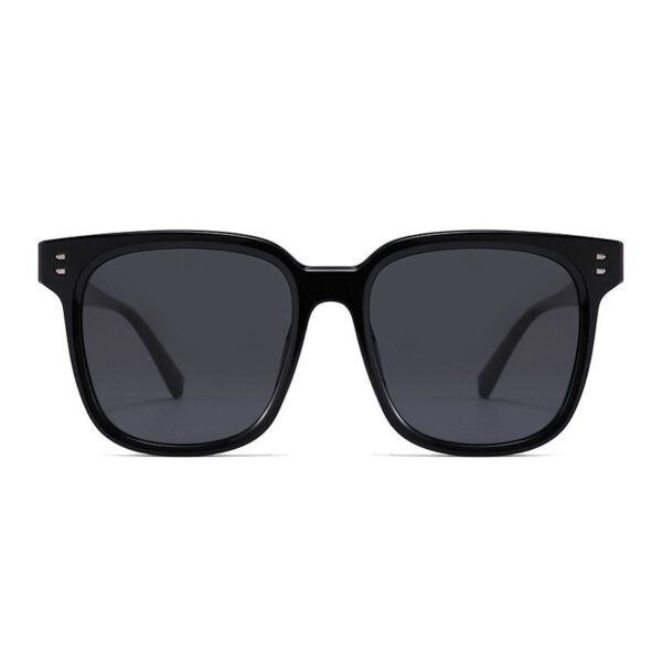 Bulk Wholesale TR90 Sunglasses Supplier - LY2145