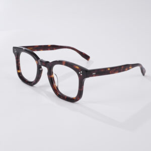 vintage-acetate-eyewear-frame-2B-supplier V1003