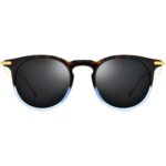 Acetate Sunglasses Manufacturer - 1857T
