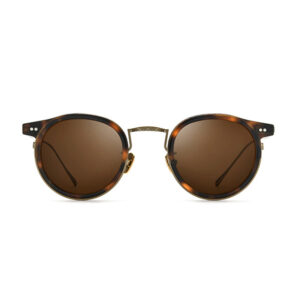 Buy Bulk Designer Sunglasses - 1850T