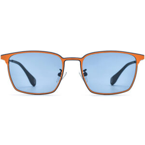 Wholesale Titanium Sunglasses - 185856T